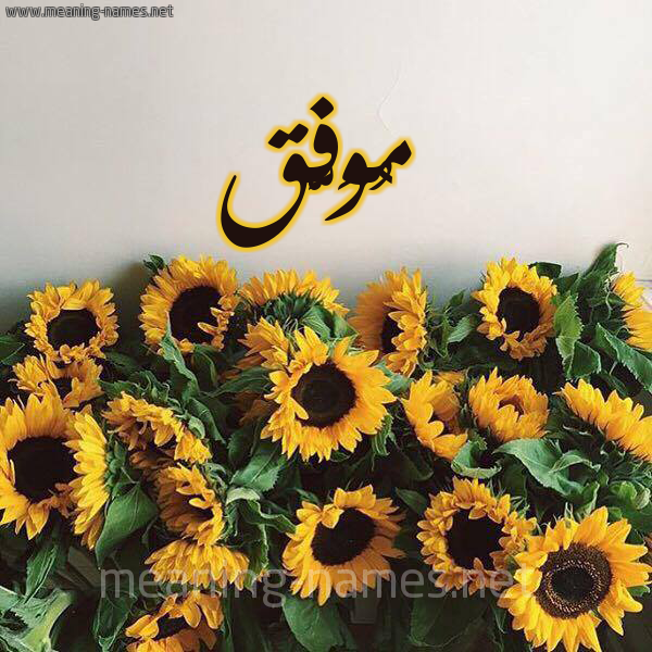 شكل 17 صوره دوار الشمس للإسم بخط رقعة صورة اسم مُوَفَّق MOOAFAQ شكل 17 صوره دوار الشمس للإسم بخط رقعة صورة اسم مُوَفَّق MOOAFAQ