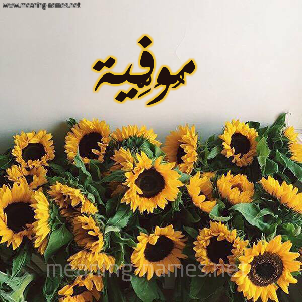 صورة اسم مُوَفِّية MOOAFEIH شكل 17 صوره دوار الشمس للإسم بخط رقعة صورة اسم مُوَفِّية MOOAFEIH شكل 17 صوره دوار الشمس للإسم بخط رقعة