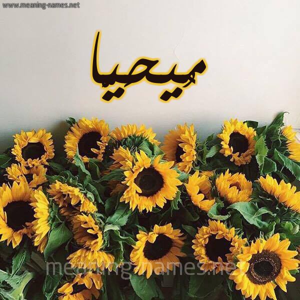 صورة اسم مُيحَيَّا Muhayya شكل 17 صوره دوار الشمس للإسم بخط رقعة صورة اسم مُيحَيَّا Muhayya شكل 17 صوره دوار الشمس للإسم بخط رقعة