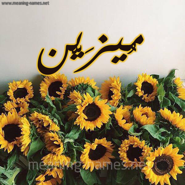 شكل 17 صوره دوار الشمس للإسم بخط رقعة صورة اسم مُيزَيَّن Mozain شكل 17 صوره دوار الشمس للإسم بخط رقعة صورة اسم مُيزَيَّن Mozain