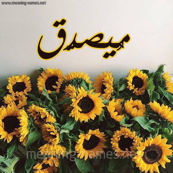 صورة اسم مُيصدَّق Musaddaq شكل 17 صوره دوار الشمس للإسم بخط رقعة صورة اسم مُيصدَّق Musaddaq شكل 17 صوره دوار الشمس للإسم بخط رقعة