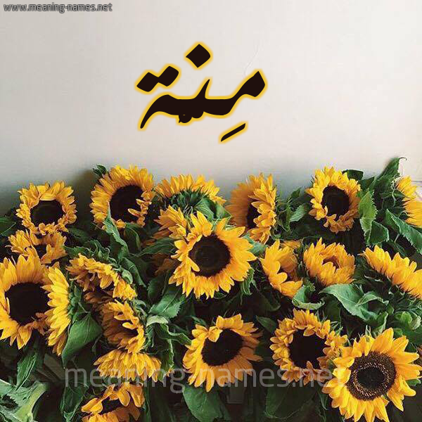 صورة اسم مِنَّة Menna شكل 17 صوره دوار الشمس للإسم بخط رقعة صورة اسم مِنَّة Menna شكل 17 صوره دوار الشمس للإسم بخط رقعة