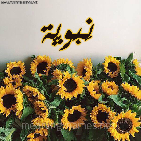 صورة اسم نَبَوِيَّة NABAOEIAH شكل 17 صوره دوار الشمس للإسم بخط رقعة صورة اسم نَبَوِيَّة NABAOEIAH شكل 17 صوره دوار الشمس للإسم بخط رقعة