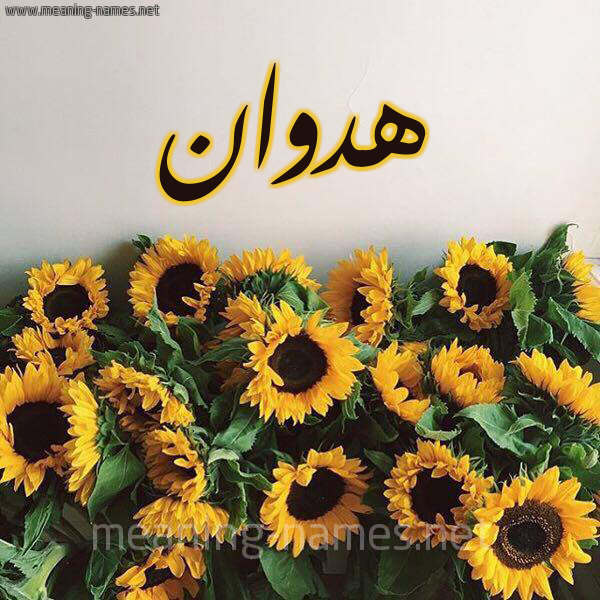 صورة اسم هدوان Hadwan شكل 17 صوره دوار الشمس للإسم بخط رقعة