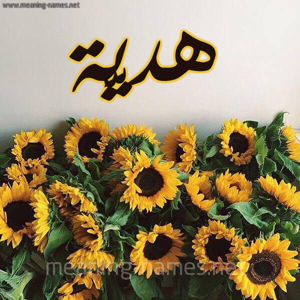 صورة اسم هديَّة HDIAH شكل 17 صوره دوار الشمس للإسم بخط رقعة صورة اسم هديَّة HDIAH شكل 17 صوره دوار الشمس للإسم بخط رقعة