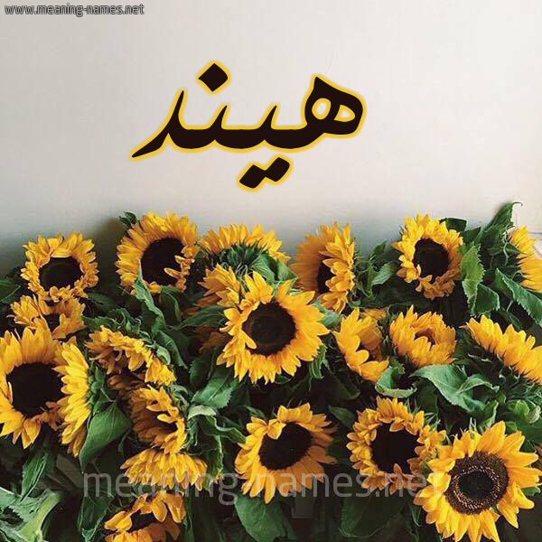 صورة اسم هيند Hend شكل 17 صوره دوار الشمس للإسم بخط رقعة