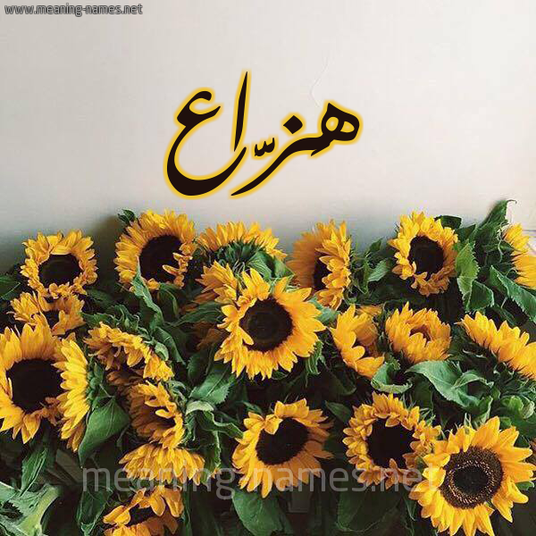 صورة اسم هَزَّاع HAZAAA شكل 17 صوره دوار الشمس للإسم بخط رقعة صورة اسم هَزَّاع HAZAAA شكل 17 صوره دوار الشمس للإسم بخط رقعة