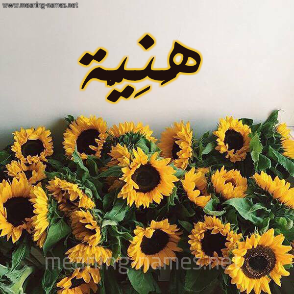 صورة اسم هَنِيَّة HANEIAH شكل 17 صوره دوار الشمس للإسم بخط رقعة صورة اسم هَنِيَّة HANEIAH شكل 17 صوره دوار الشمس للإسم بخط رقعة