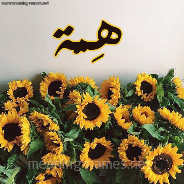 صورة اسم هِمَّة HEMAH شكل 17 صوره دوار الشمس للإسم بخط رقعة صورة اسم هِمَّة HEMAH شكل 17 صوره دوار الشمس للإسم بخط رقعة