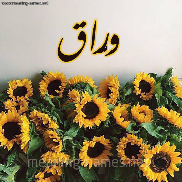 صورة اسم وَرَّاق OARAAQ شكل 17 صوره دوار الشمس للإسم بخط رقعة صورة اسم وَرَّاق OARAAQ شكل 17 صوره دوار الشمس للإسم بخط رقعة