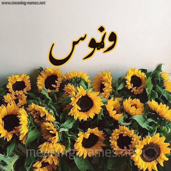 شكل 17 صوره دوار الشمس للإسم بخط رقعة صورة اسم وَنُّوس Oanoos شكل 17 صوره دوار الشمس للإسم بخط رقعة صورة اسم وَنُّوس Oanoos