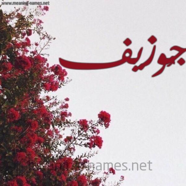 صور اسم ج وزيف قاموس الأسماء و المعاني
