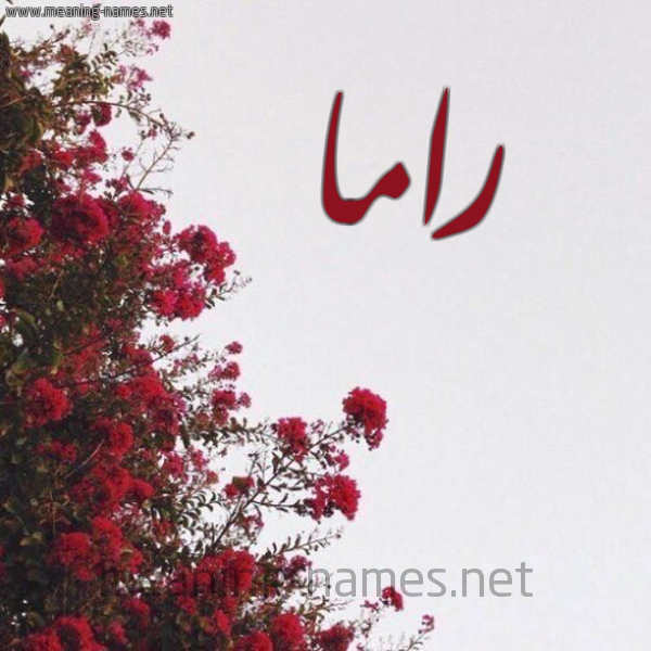 راما شكل 18 صوره الورد الأحمر للإسم بخط رقعة كتابة على الورد 2021