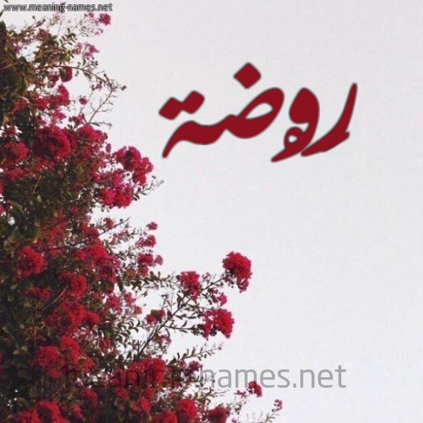 صور اسم ر و ضة قاموس الأسماء و المعاني