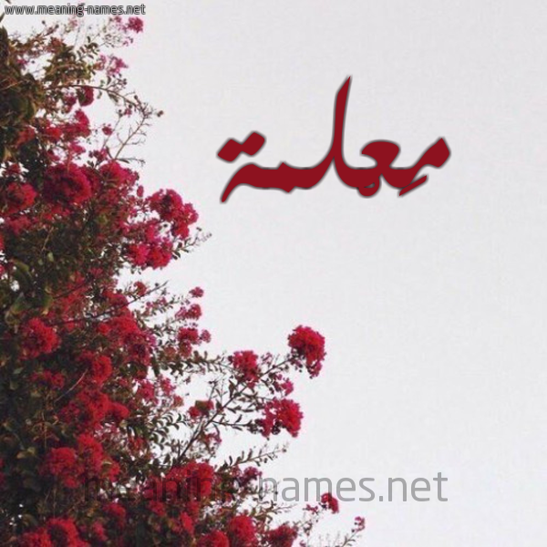 م ع لمة شكل 18 صوره الورد الأحمر للإسم بخط رقعة كتابة على الورد 2021