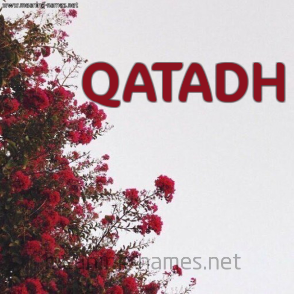 شكل 18 صوره الورد الأحمر للإسم بخط رقعة