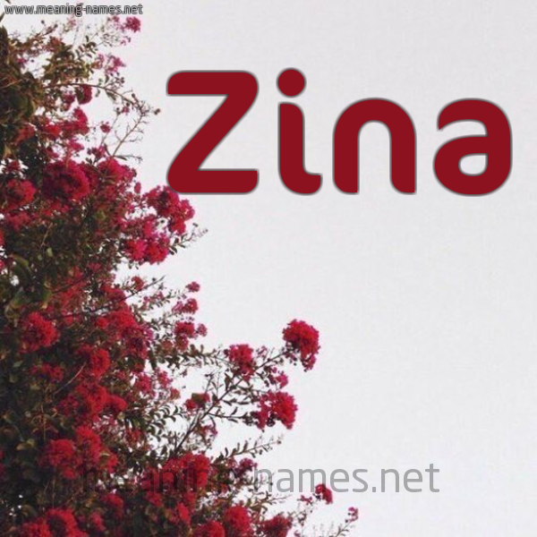 Zina شكل 18 صوره الورد الأحمر للإسم بخط رقعة كتابة على الورد 21