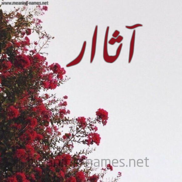 شكل 18 صوره الورد الأحمر للإسم بخط رقعة صورة اسم آثاار Athar