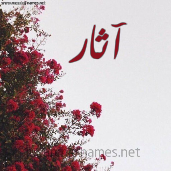 شكل 18 صوره الورد الأحمر للإسم بخط رقعة صورة اسم آثار Athar