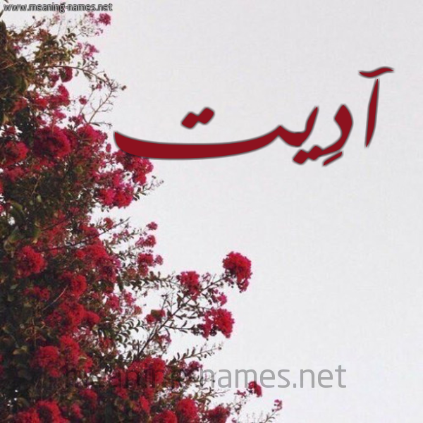 شكل 18 صوره الورد الأحمر للإسم بخط رقعة صورة اسم آدِيت ADEIT