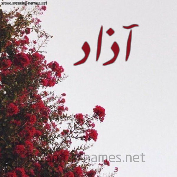 شكل 18 صوره الورد الأحمر للإسم بخط رقعة صورة اسم آذاد Azad