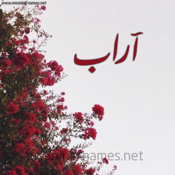 شكل 18 صوره الورد الأحمر للإسم بخط رقعة صورة اسم آراب ARAB