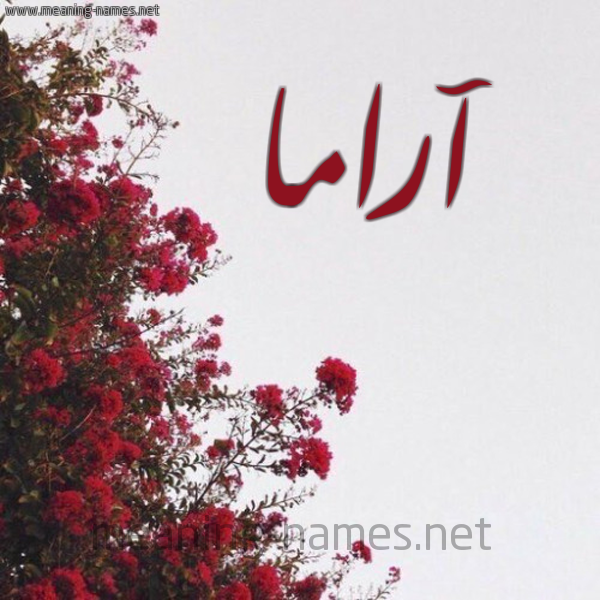 شكل 18 صوره الورد الأحمر للإسم بخط رقعة صورة اسم آراما arama