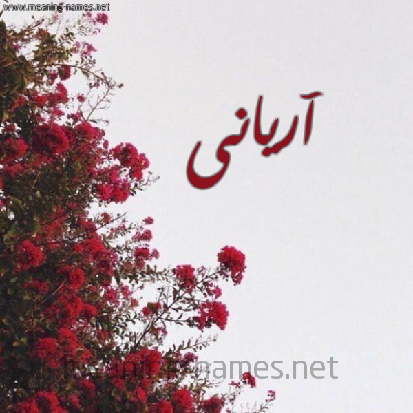شكل 18 صوره الورد الأحمر للإسم بخط رقعة صورة اسم آريانى Aryan