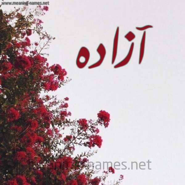 شكل 18 صوره الورد الأحمر للإسم بخط رقعة صورة اسم آزاده azada