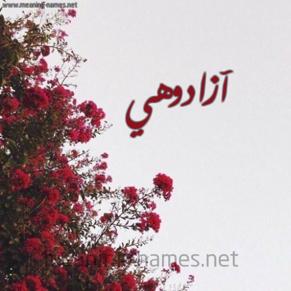 شكل 18 صوره الورد الأحمر للإسم بخط رقعة صورة اسم آزادوهي AZADOHI