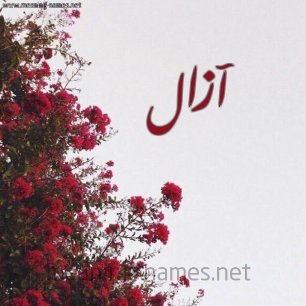 شكل 18 صوره الورد الأحمر للإسم بخط رقعة صورة اسم آزال Azal