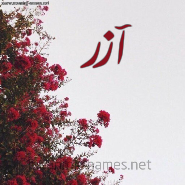 شكل 18 صوره الورد الأحمر للإسم بخط رقعة صورة اسم آزر azr