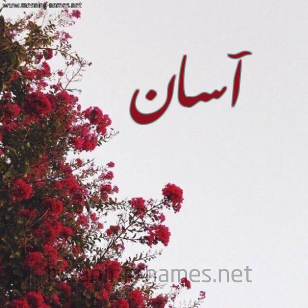 شكل 18 صوره الورد الأحمر للإسم بخط رقعة صورة اسم آسان Asan
