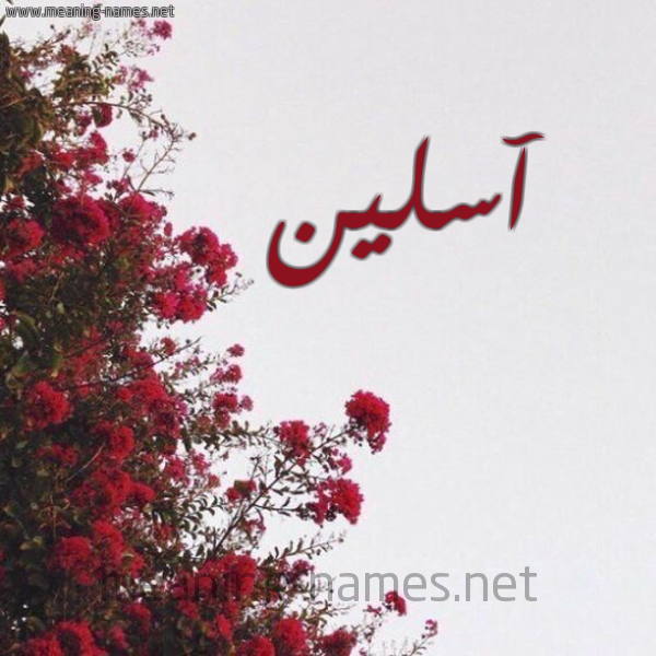 شكل 18 صوره الورد الأحمر للإسم بخط رقعة صورة اسم آسلين aslin