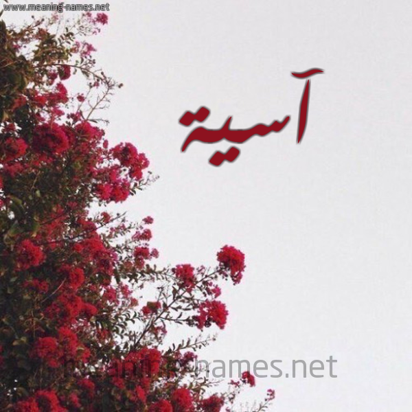 شكل 18 صوره الورد الأحمر للإسم بخط رقعة صورة اسم آسية Asia