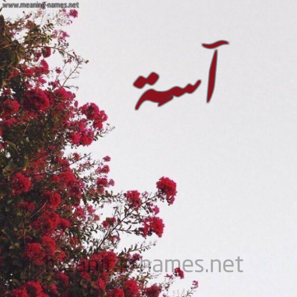 شكل 18 صوره الورد الأحمر للإسم بخط رقعة صورة اسم آسَة ASAH