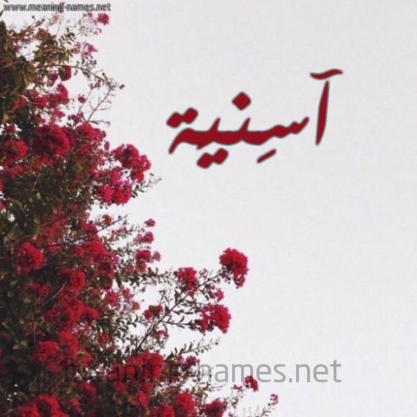 شكل 18 صوره الورد الأحمر للإسم بخط رقعة صورة اسم آسِنيَة asnia