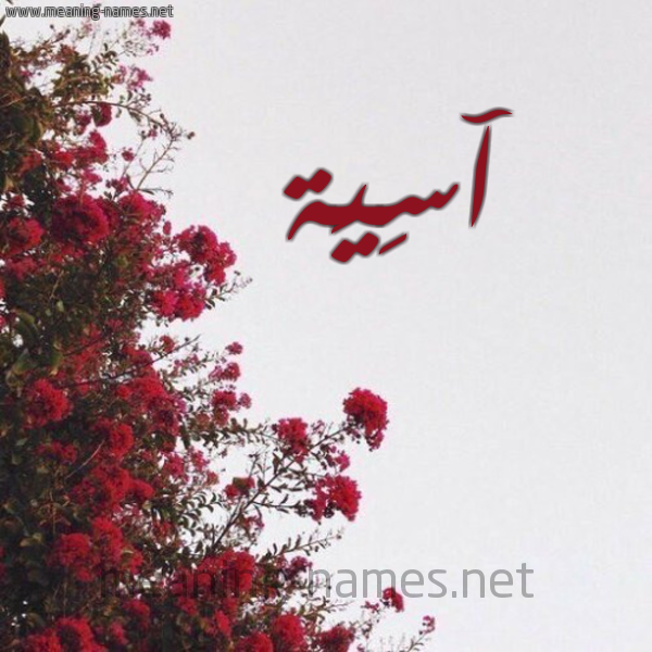 شكل 18 صوره الورد الأحمر للإسم بخط رقعة صورة اسم آسِيَة ASEIAH