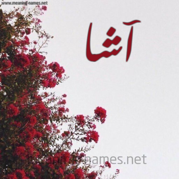 شكل 18 صوره الورد الأحمر للإسم بخط رقعة صورة اسم آشا aasha