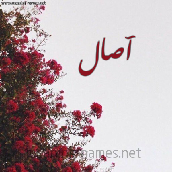 شكل 18 صوره الورد الأحمر للإسم بخط رقعة صورة اسم آصال ASAL