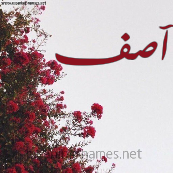 شكل 18 صوره الورد الأحمر للإسم بخط رقعة صورة اسم آصف Asf