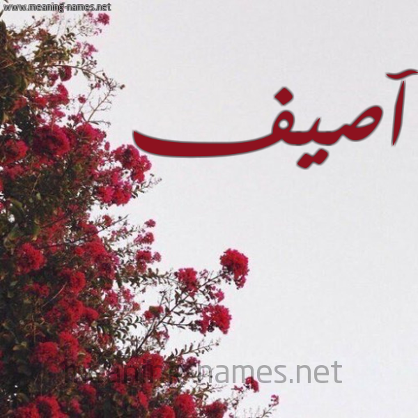 شكل 18 صوره الورد الأحمر للإسم بخط رقعة صورة اسم آصيف Asef