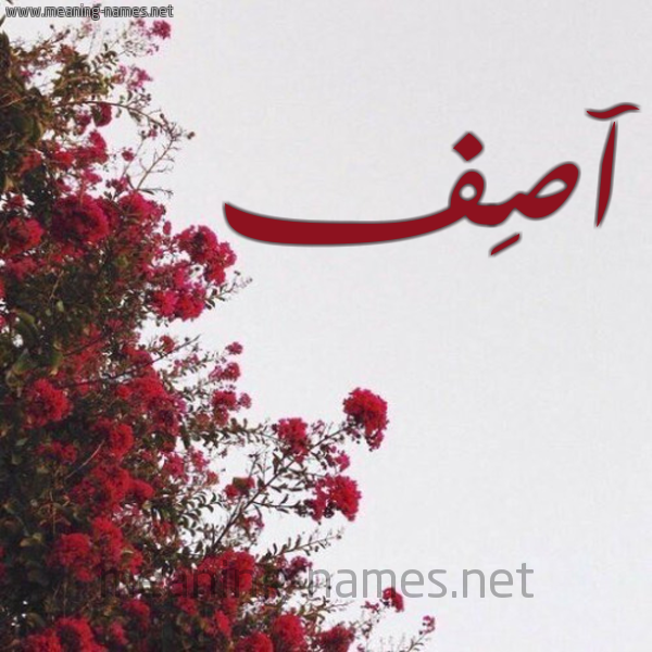 شكل 18 صوره الورد الأحمر للإسم بخط رقعة صورة اسم آصِف Asef