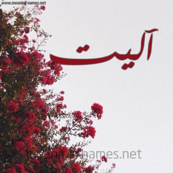 شكل 18 صوره الورد الأحمر للإسم بخط رقعة صورة اسم آليت alit