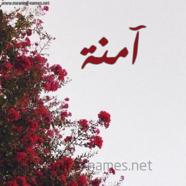 شكل 18 صوره الورد الأحمر للإسم بخط رقعة صورة اسم آمنة Amna