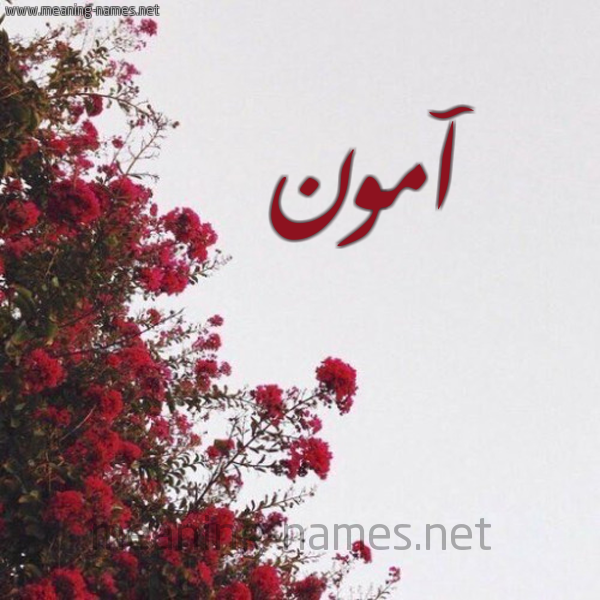 شكل 18 صوره الورد الأحمر للإسم بخط رقعة صورة اسم آمون AMON