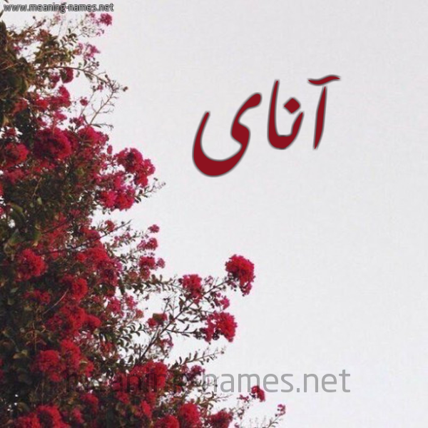 شكل 18 صوره الورد الأحمر للإسم بخط رقعة صورة اسم آناى anay