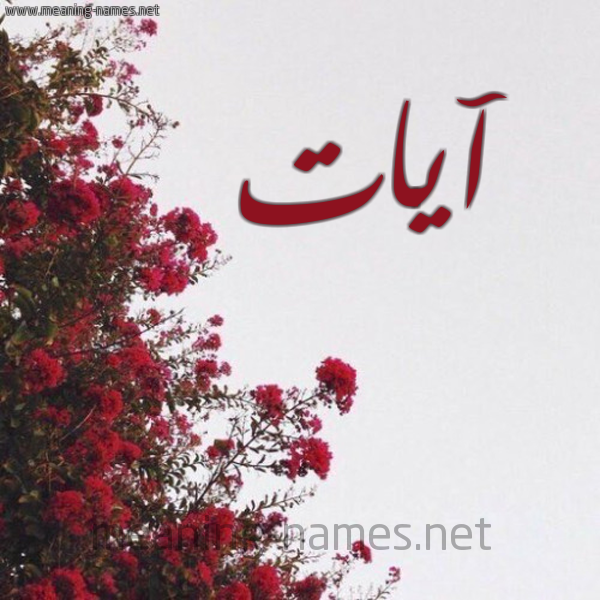 شكل 18 صوره الورد الأحمر للإسم بخط رقعة صورة اسم آيات Ayat