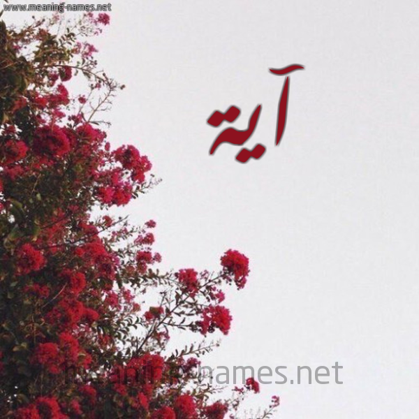 شكل 18 صوره الورد الأحمر للإسم بخط رقعة صورة اسم آية Aya