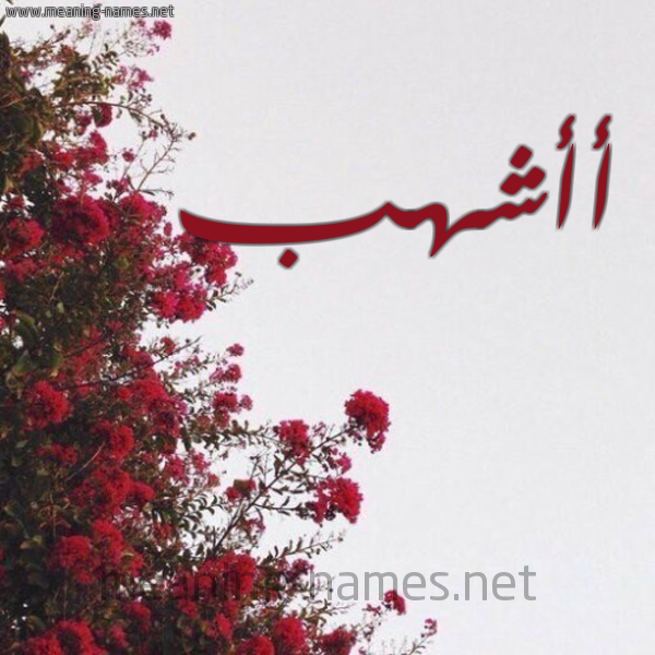 شكل 18 صوره الورد الأحمر للإسم بخط رقعة صورة اسم أأشهب Ashhab